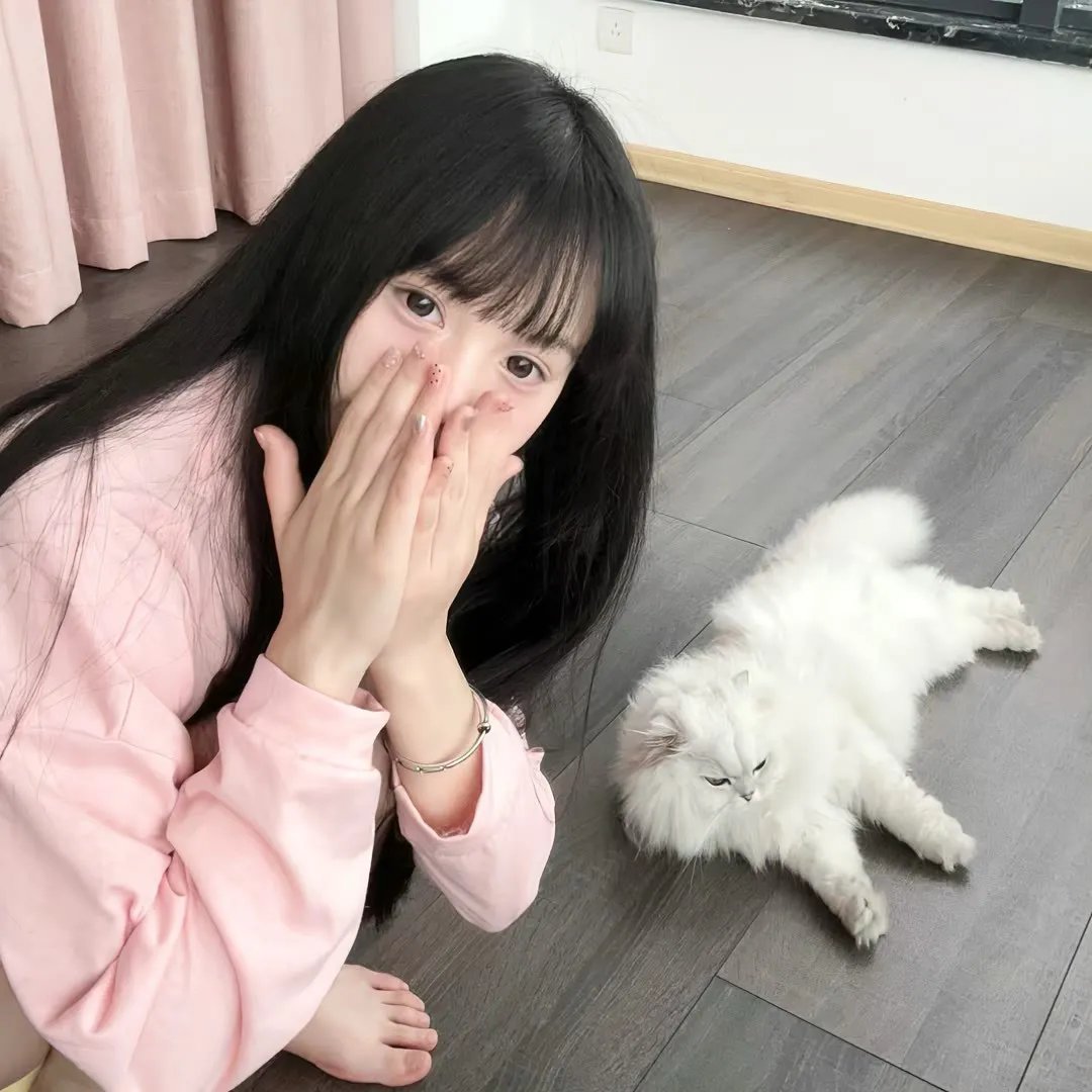 恋爱部屋
